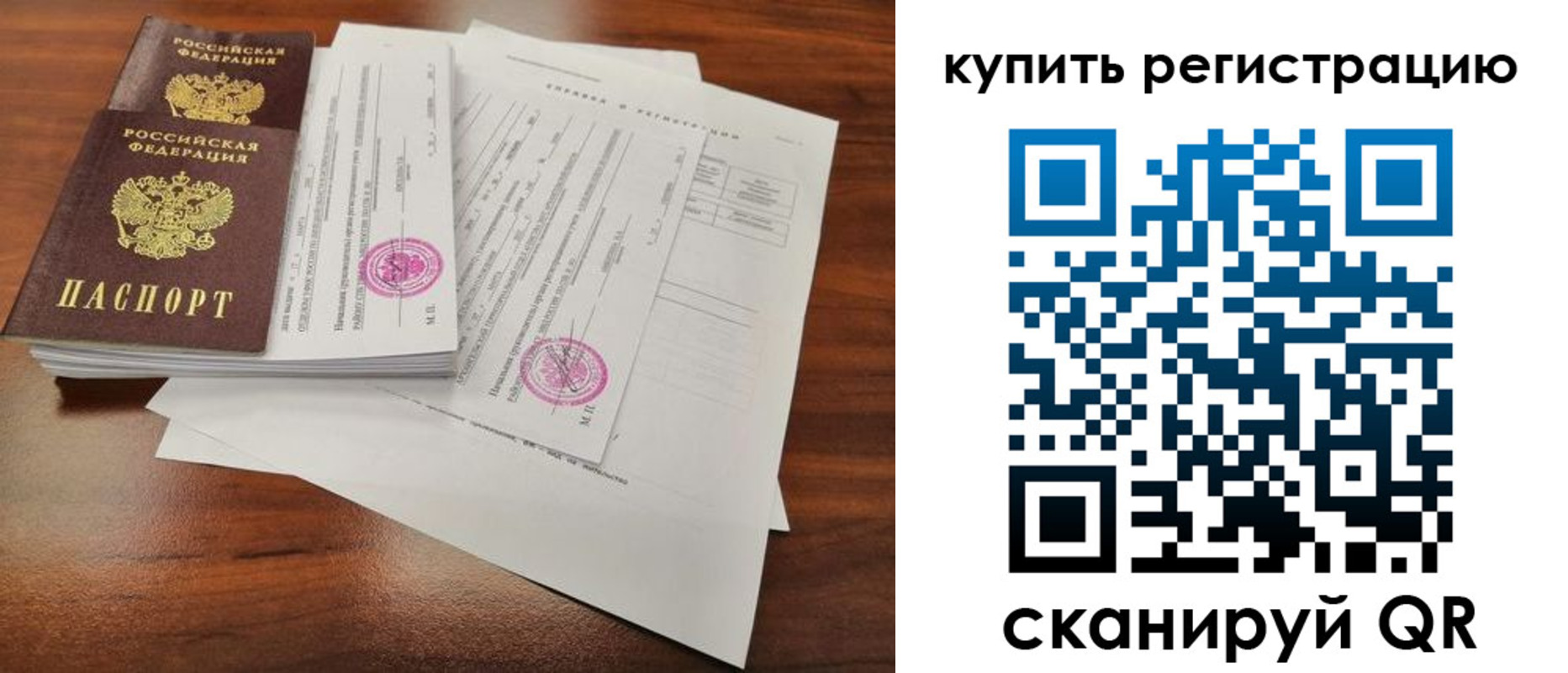 прописка поиск в Белгородской области
